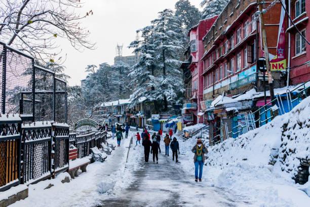 Shimla